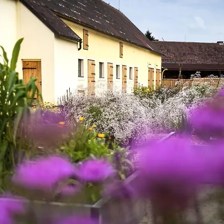 Panský Dvůr Bed & Breakfast Telč